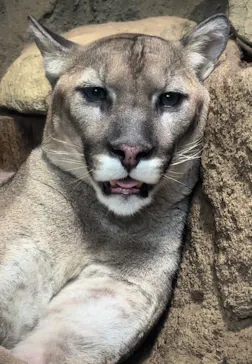 神戸どうぶつ王国に投稿された画像（2023/7/3）