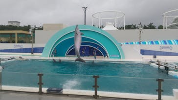 鴨川シーワールドに投稿された画像（2023/7/3）