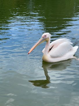 沖縄こどもの国に投稿された画像（2023/7/3）