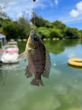 沖縄こどもの国に投稿された画像（2023/7/3）