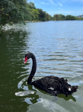 沖縄こどもの国に投稿された画像（2023/7/3）