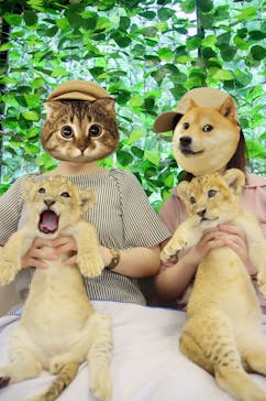 しろとり動物園に投稿された画像（2023/7/4）