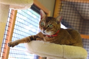 しろとり動物園に投稿された画像（2023/7/4）