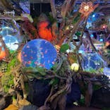 NARA IKIMONO MUSEUMに投稿された画像（2023/7/4）