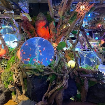 NARA IKIMONO MUSEUMに投稿された画像（2023/7/4）