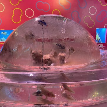 NARA IKIMONO MUSEUMに投稿された画像（2023/7/4）