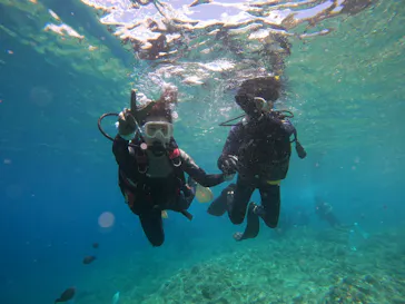 武藤潜水に投稿された画像（2023/7/4）