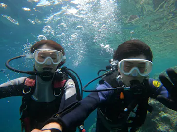 武藤潜水に投稿された画像（2023/7/4）