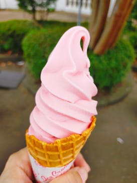 伊豆シャボテン動物公園に投稿された画像（2023/7/4）