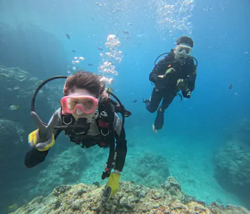 武藤潜水に投稿された画像（2023/7/4）