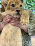 しろとり動物園に投稿された画像（2023/7/4）
