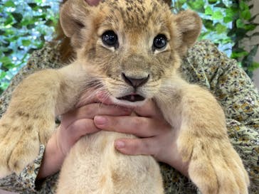 しろとり動物園に投稿された画像（2023/7/4）