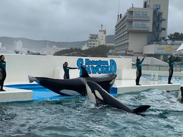 鴨川シーワールドに投稿された画像（2023/7/4）