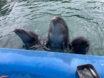 下田海中水族館に投稿された画像（2023/7/4）