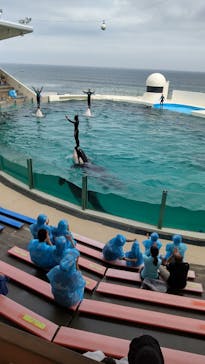 鴨川シーワールドに投稿された画像（2023/7/4）