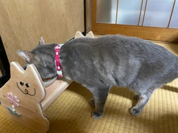 All Thanks 018に投稿された画像（2023/7/4）