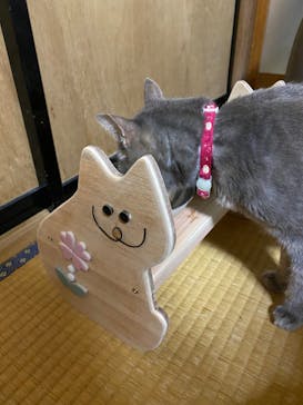 All Thanks 018に投稿された画像（2023/7/4）