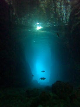 青の洞窟専門店　沖縄ダイビングショップ和に投稿された画像（2023/7/4）