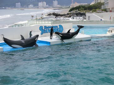 鴨川シーワールドに投稿された画像（2023/7/4）