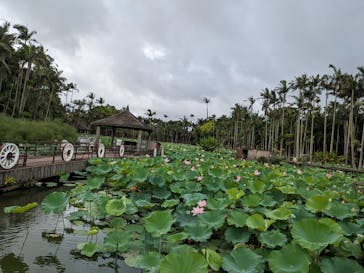 美らヤシパークオキナワ・東南植物楽園に投稿された画像（2023/7/4）