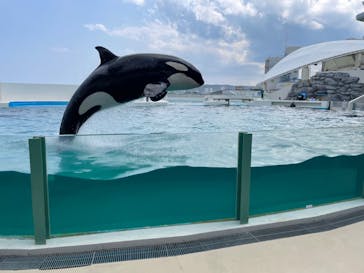 鴨川シーワールドに投稿された画像（2023/7/4）