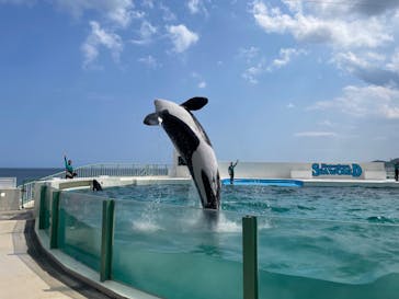 鴨川シーワールドに投稿された画像（2023/7/4）