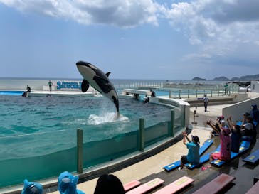 鴨川シーワールドに投稿された画像（2023/7/4）