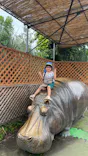天王寺動物園に投稿された画像（2023/7/4）