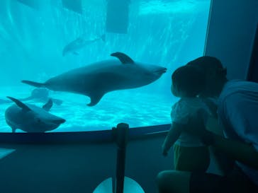 名古屋港水族館に投稿された画像（2023/7/4）