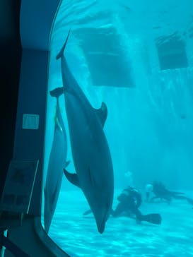 名古屋港水族館に投稿された画像（2023/7/4）