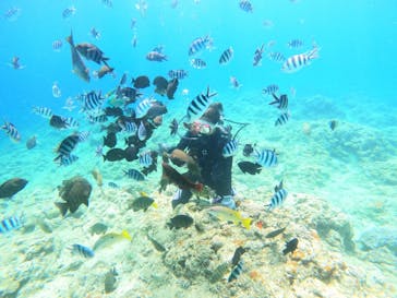 沖縄マリンサービス碧に投稿された画像（2023/7/5）