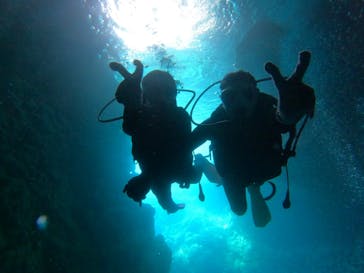 沖縄マリンサービス碧に投稿された画像（2023/7/5）