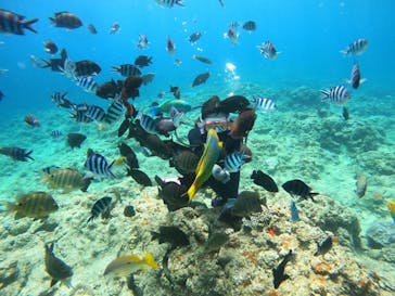 沖縄マリンサービス碧に投稿された画像（2023/7/5）