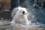 よこはま動物園ズーラシアに投稿された画像（2023/7/5）