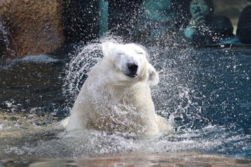 よこはま動物園ズーラシアに投稿された画像（2023/7/5）