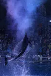 マクセル アクアパーク品川に投稿された画像（2023/7/5）