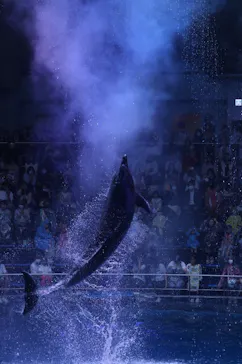 マクセル アクアパーク品川に投稿された画像（2023/7/5）