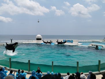 鴨川シーワールドに投稿された画像（2023/7/5）