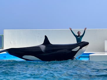 鴨川シーワールドに投稿された画像（2023/7/5）