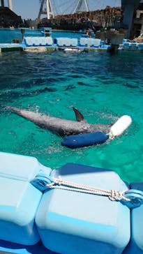 名古屋港水族館に投稿された画像（2023/7/5）