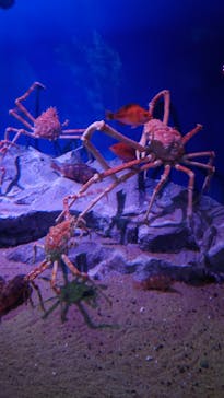 名古屋港水族館に投稿された画像（2023/7/5）