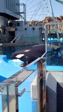 名古屋港水族館に投稿された画像（2023/7/5）