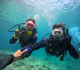 武藤潜水に投稿された画像（2023/7/5）