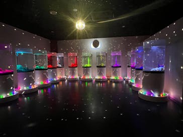 NARA IKIMONO MUSEUMに投稿された画像（2023/7/5）