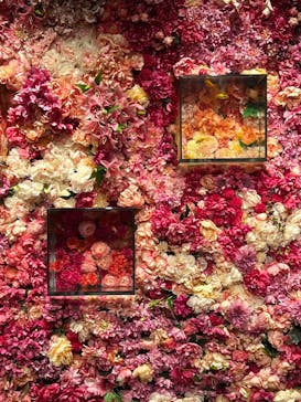 NARA IKIMONO MUSEUMに投稿された画像（2023/7/5）