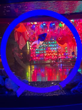 NARA IKIMONO MUSEUMに投稿された画像（2023/7/5）