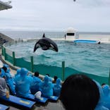 鴨川シーワールドに投稿された画像（2023/7/5）