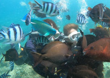 DIVING-SHOP SUNSに投稿された画像（2023/7/5）