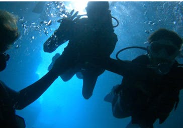 DIVING-SHOP SUNSに投稿された画像（2023/7/5）