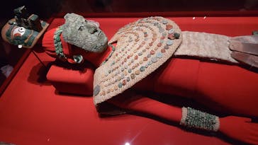 特別展「古代メキシコーマヤ、アステカ、テオティワカン」に投稿された画像（2023/7/5）